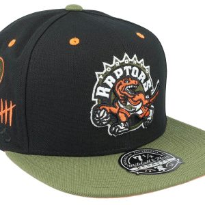 Mitchell & Ness Men's Nba Take Flight Fitted Hwc Raptors