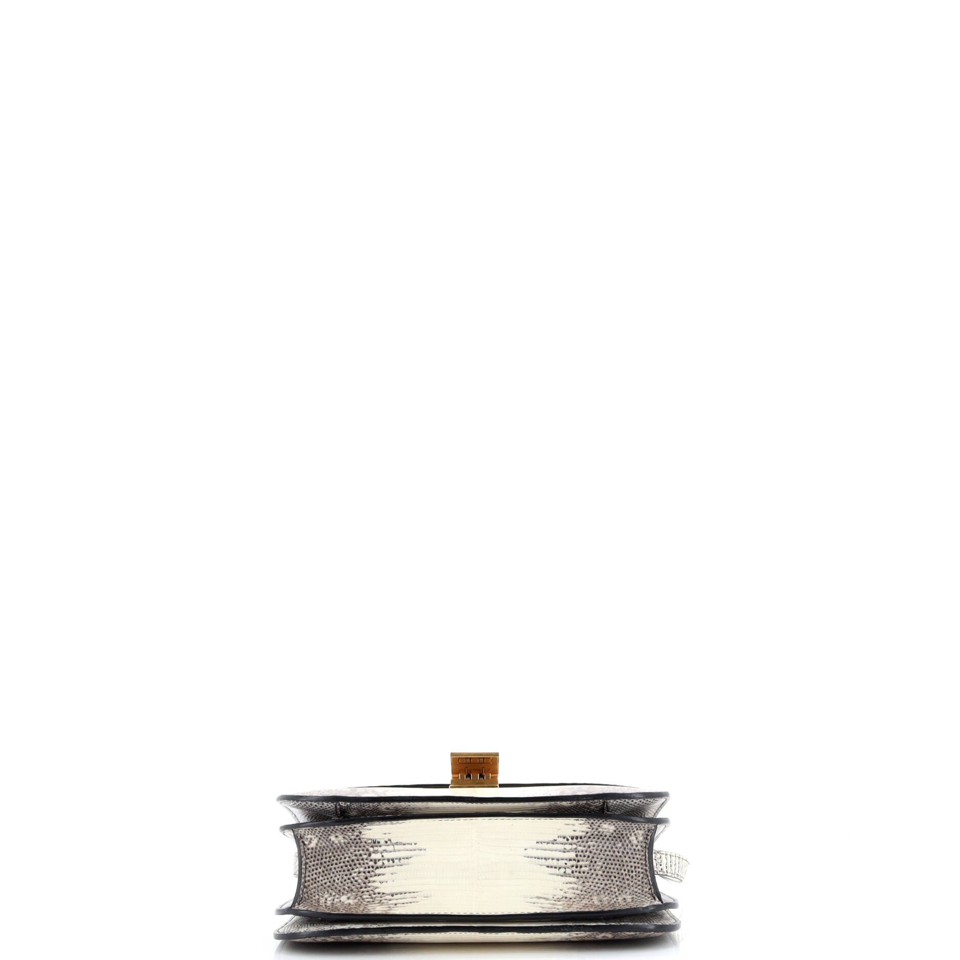 Pre-Loved Celine Classic Box Bag Lizard Medium - Image 4