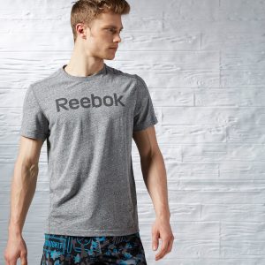 Reebok Big Logo Tee - Ay1593