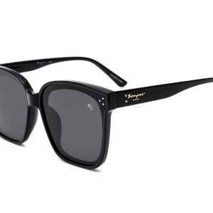 Biscayners Warren Black Sunglasses