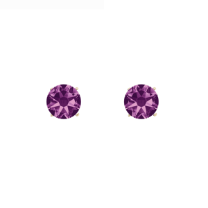 callura Timeless Goldtone Stainless Steel & Cubic Zirconia Birthstone Solitaire Stud Earrings ?C February Amethyst
