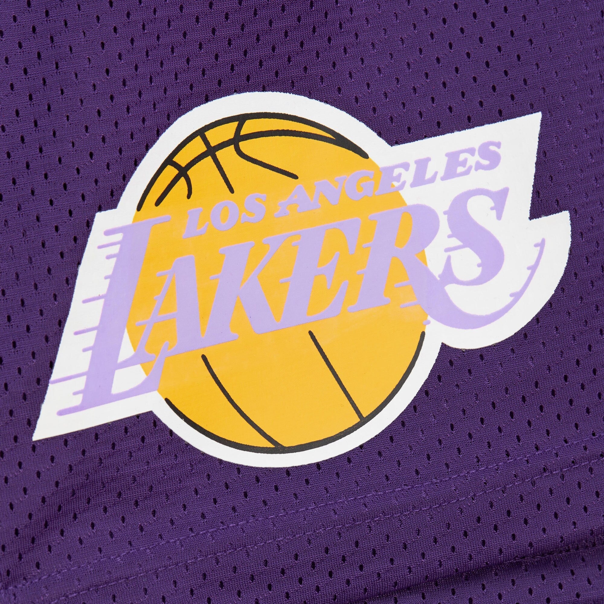 Mitchell & Ness Men's Nba Gameday Mesh 7In Shorts Vintage Logo Lakers - Image 4